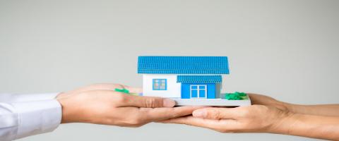 картинка новости