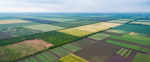 картинка новости