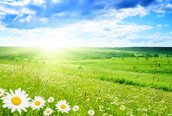 Купить землю в Одессе