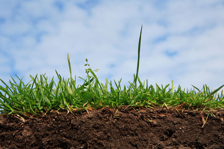 купить землю в Харькове