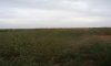 превью 6