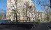 превью 5