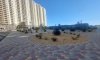 превью 8