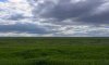 превью 6
