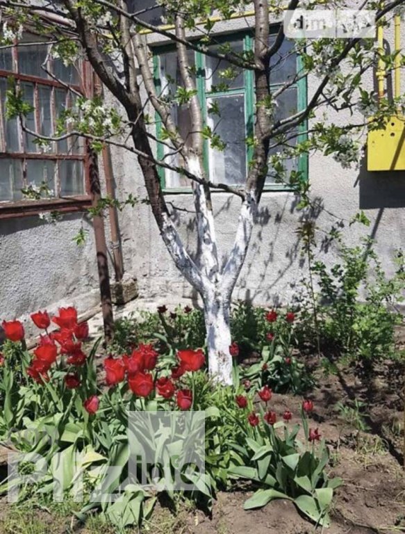 Продам дом 24 000$(400 за м2) id 5242294 Dom.pliz.info изображение 1