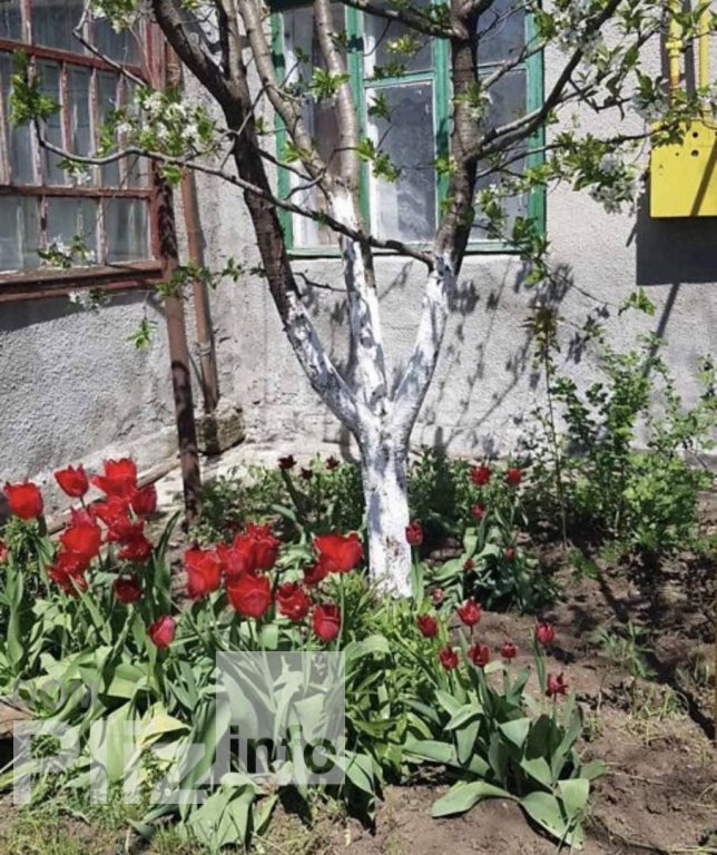 Продам дом 24 000$(400 за м2) id 5242294 Dom.pliz.info изображение 11