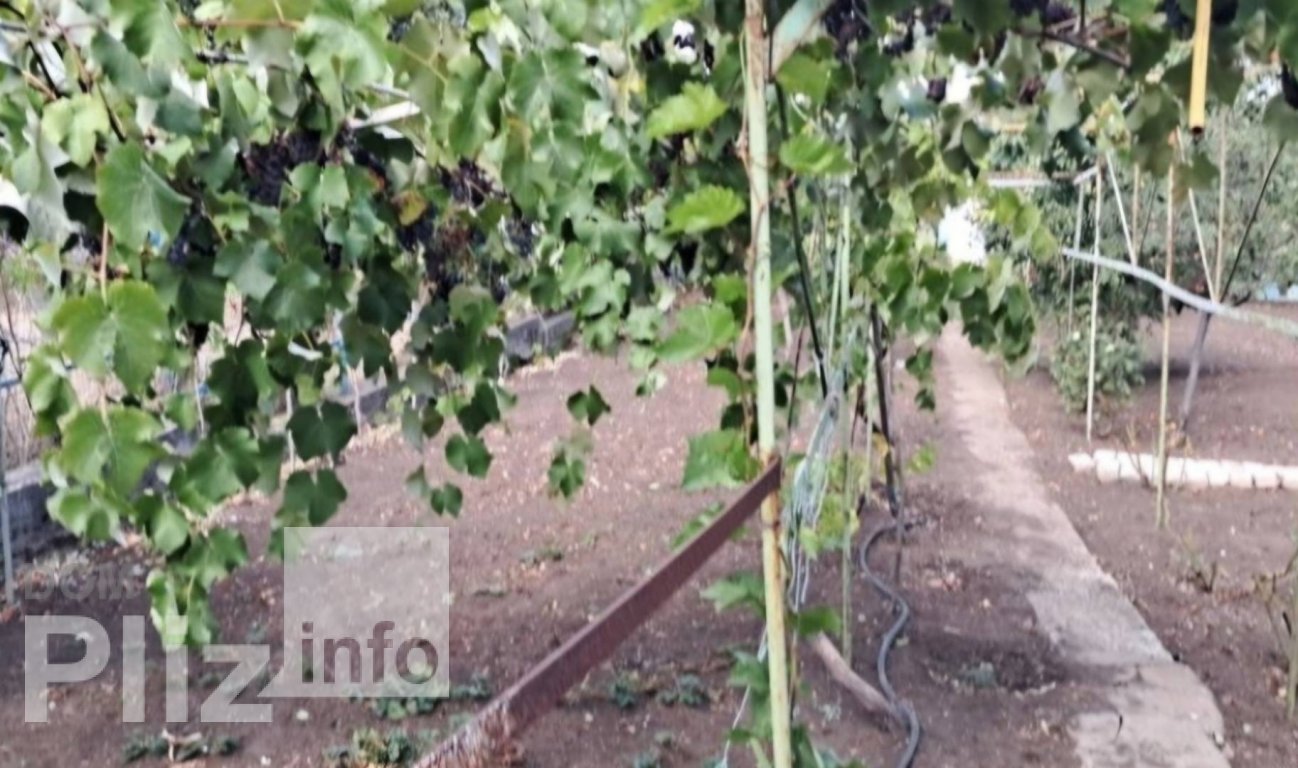 Продається будинок 28 000$(700 за м2) id 5242888 Dom.pliz.info изображение 4