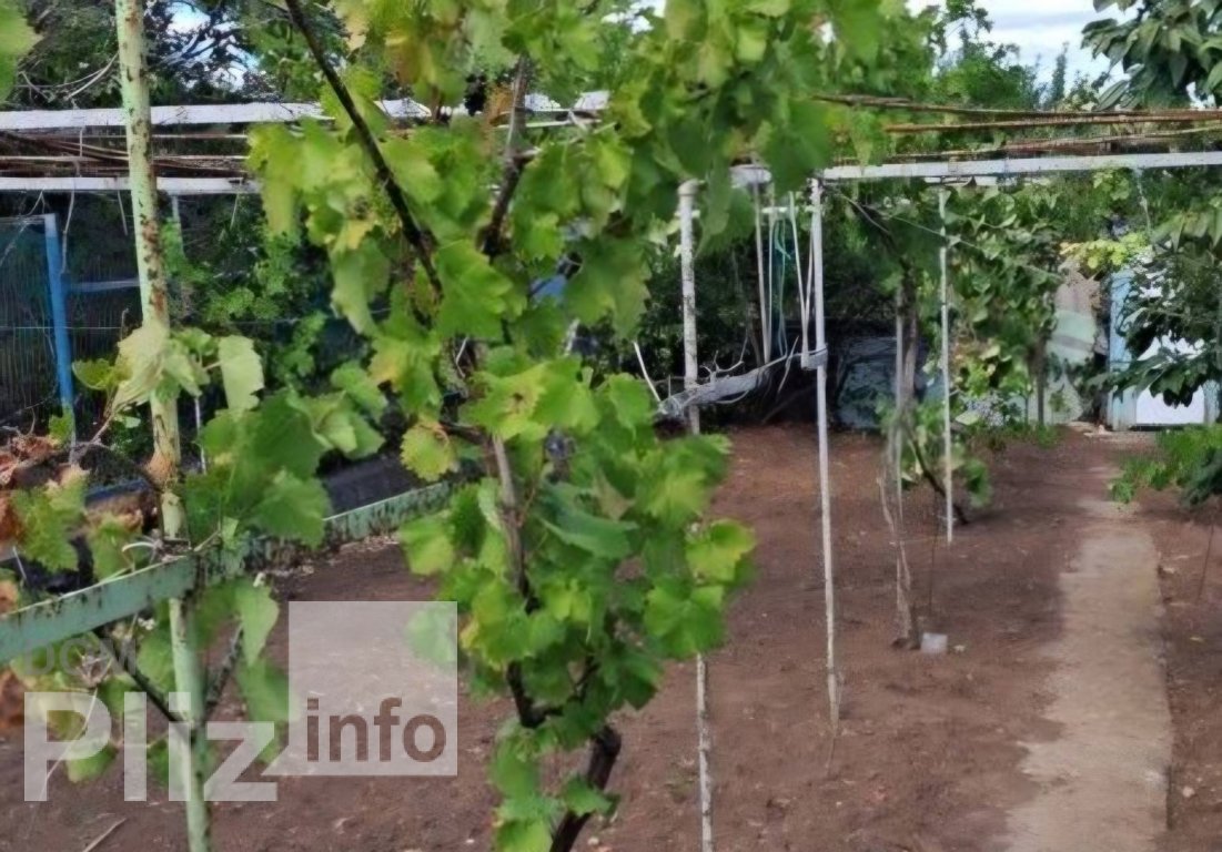 Продається будинок 28 000$(700 за м2) id 5242888 Dom.pliz.info изображение 6