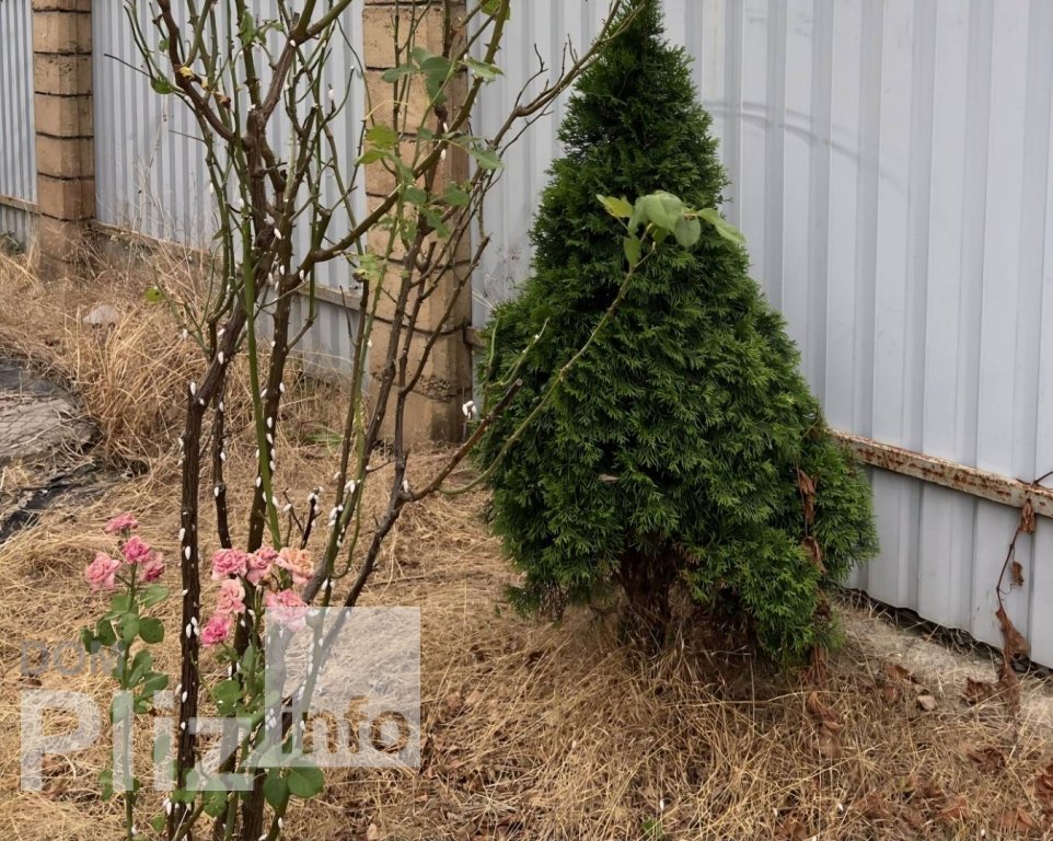 Продам дом 52 500$(477 за м2) id 5243267 Dom.pliz.info изображение 18