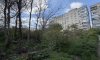 превью 5