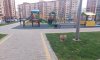 превью 6