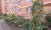 превью 14