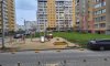 превью 11