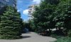 превью 1