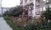 превью 8