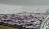 превью 6