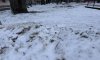 превью 1