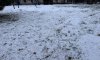 превью 6