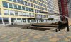 превью 11