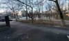 превью 8