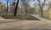 превью 7
