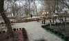 превью 7