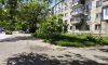 превью 6