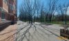 превью 1