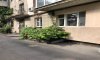 превью 6