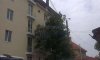 превью 10
