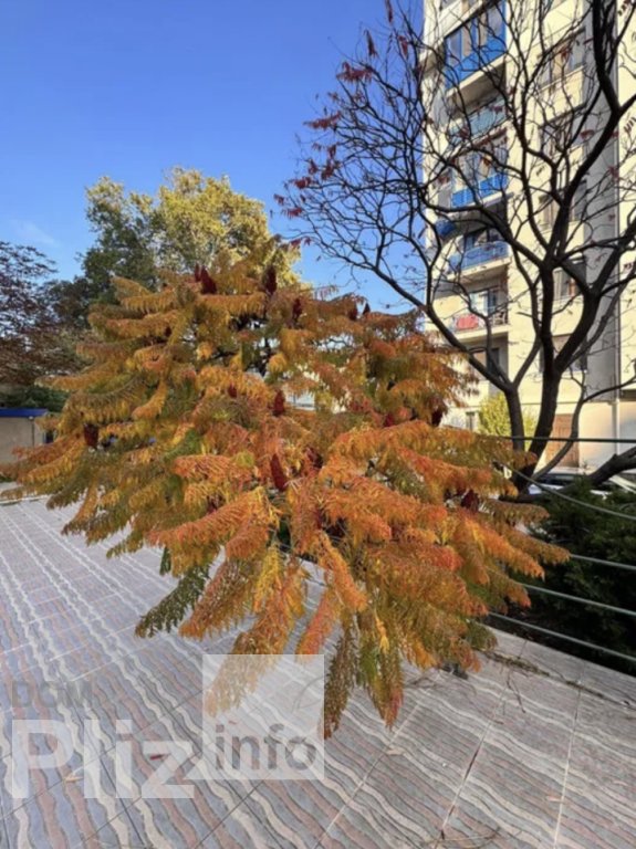 Продається 4-кімнатна квартира 280 000$(1 497 за м2) id 5242221 Dom.pliz.info изображение 13