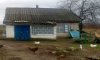 превью 5