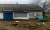 превью 10