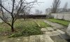 превью 1