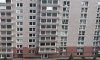 превью 7