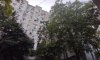 превью 7