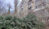 превью 5