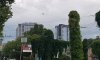 превью 6