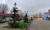 превью 17