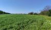 превью 6