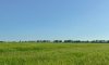 превью 9