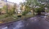 превью 5
