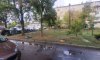 превью 10