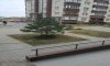 превью 9
