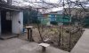 превью 11