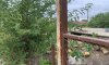 превью 6