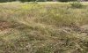 превью 2