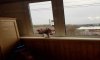 превью 8