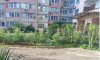 превью 1