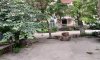 превью 1